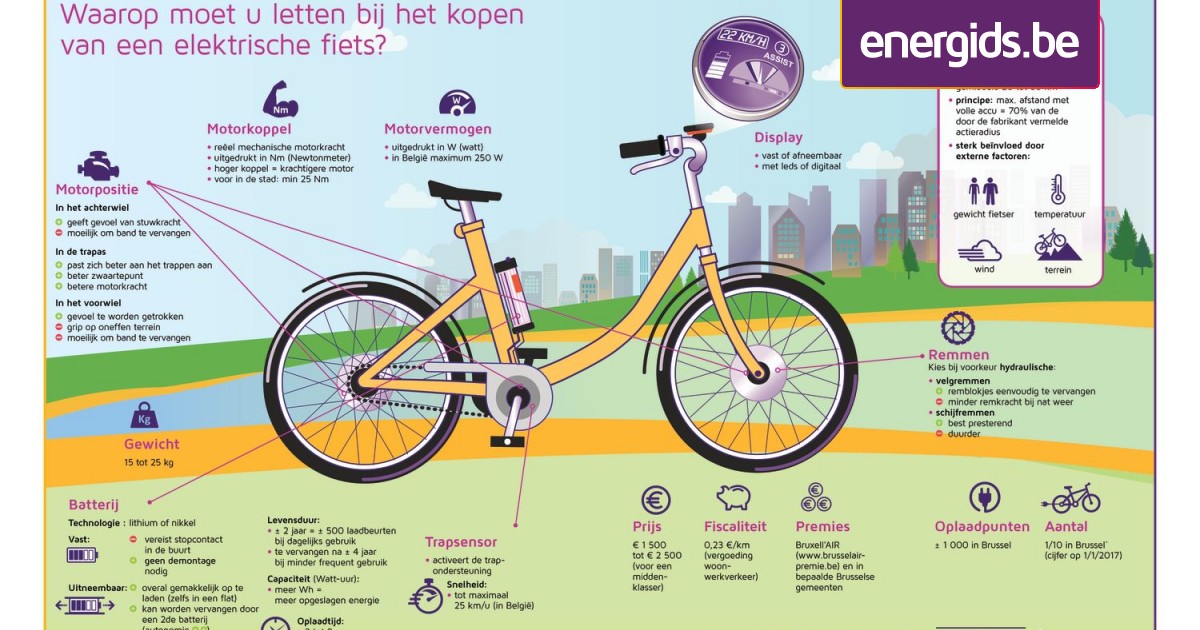 Vergevingsgezind Worstelen Onophoudelijk Hoe kies ik de juiste elektrische fiets? – Energids